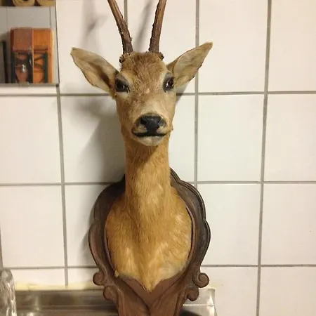 Schoepf Apartman *