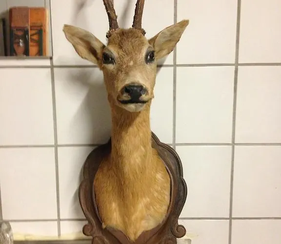 Schoepf Appartement *